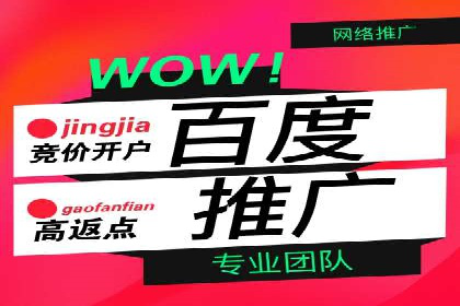 案例分析：百度推广代理助力企业抢占市场